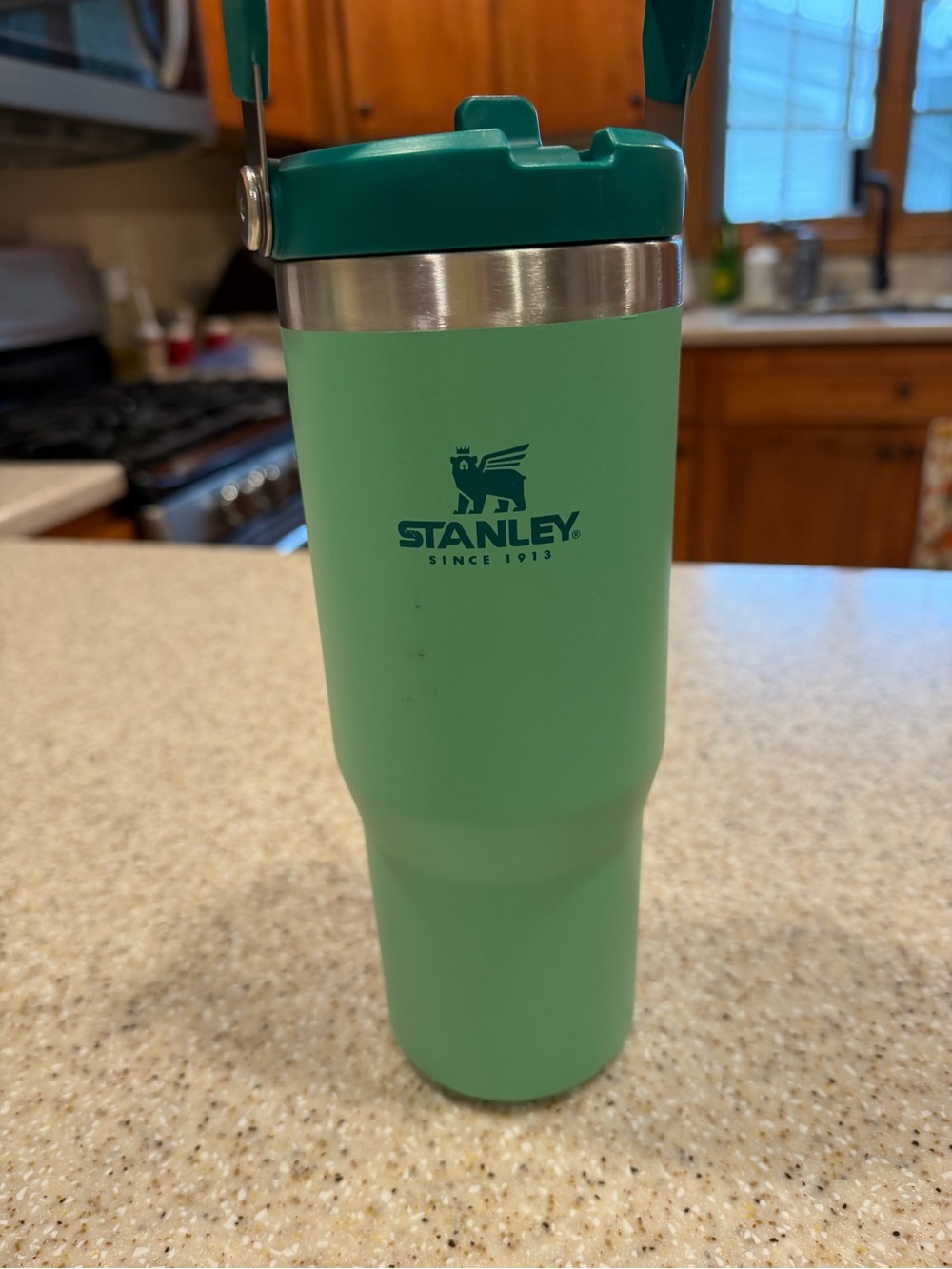 Stanley green 30 oz Travel Tumbler